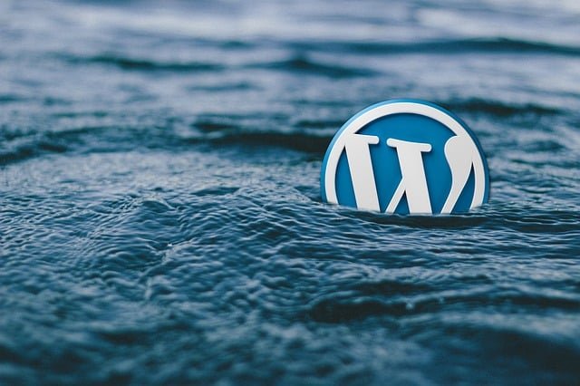 WordPress Development Services